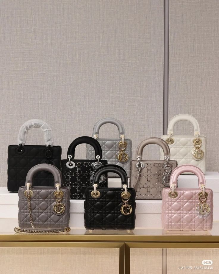 Tas lady dior