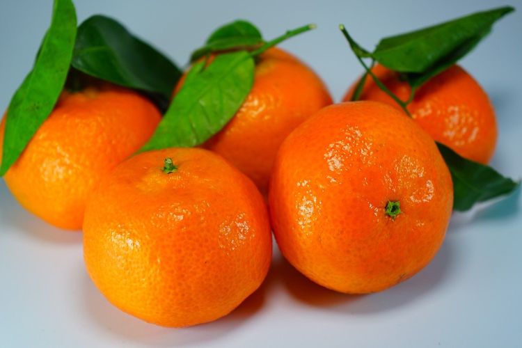 jeruk mandarin