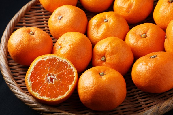 jeruk mandarin 
