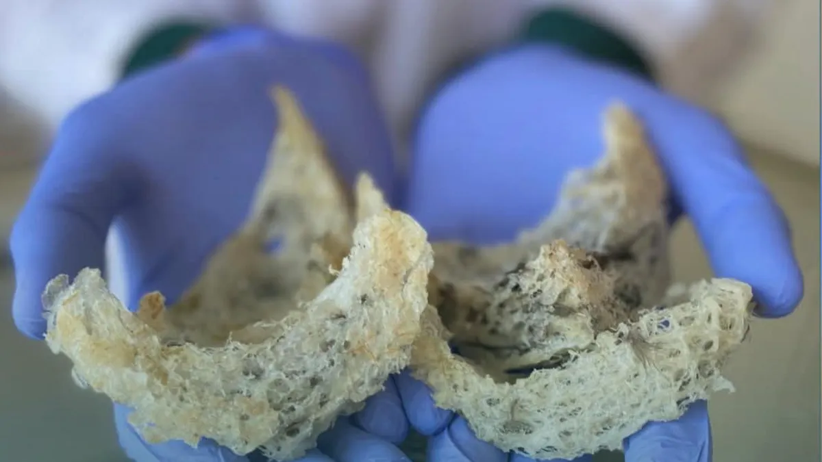 Ilustrasi proses inspeksi sarang burung walet berkualitas tinggi sebelum diekspor ke pasar Tiongkok. Kepatuhan terhadap standar GACC menjadi syarat mutlak agar produk UMKM Indonesia dapat lolos bea cukai dengan lancar.