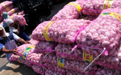 Impor Pangan Semakin Sulit? Gunakan Layanan AsiaCommerce untuk Hadapi Pengetatan Regulasi Lartas