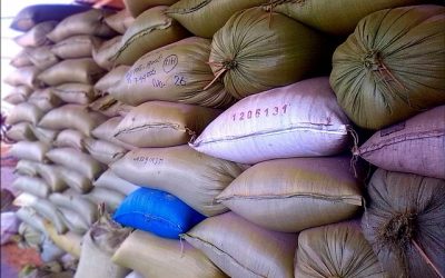 Malaysia Minta Ekspor Beras Indonesia 200 Ribu Ton! Momentum Emas Pebisnis Pangan Tembus Pasar Global