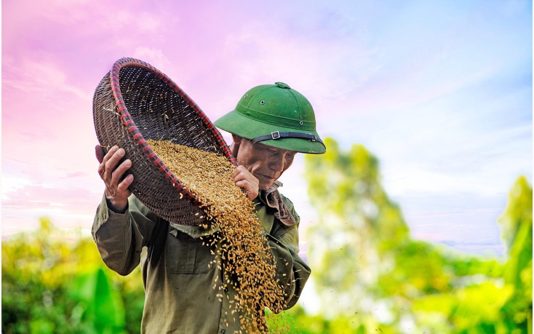 5 Langkah Aman Importir Pangan Patuhi HAP Bapanas 2026 Tanpa Takut Pengawasan Daerah
