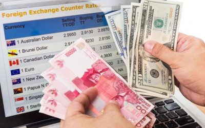 Rahasia Taktik Mitigasi Kurs Rupiah: Panduan Importir B2B Cuan Maksimal Saat Krisis