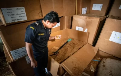 Risiko Impor Marketplace China: 7 Bahaya Fatal Ini Bisa Hancurkan Bisnis Anda dalam Semalam