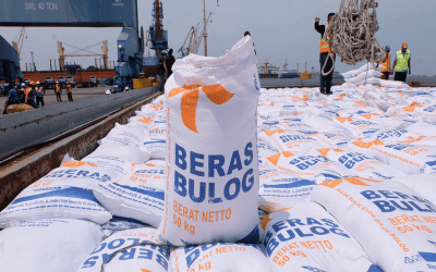 Syarat Ekspor Beras Super Ketat? Ternyata Begini Rahasia Tembus Pasar Global!
