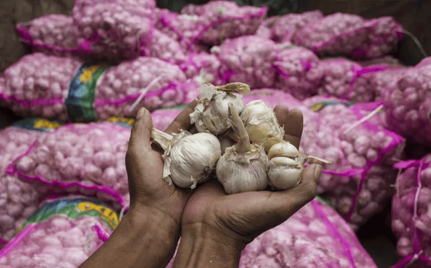 impor-bawang-putih